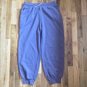Wild Fable Purple Jogger Track Pants Relaxed Fit